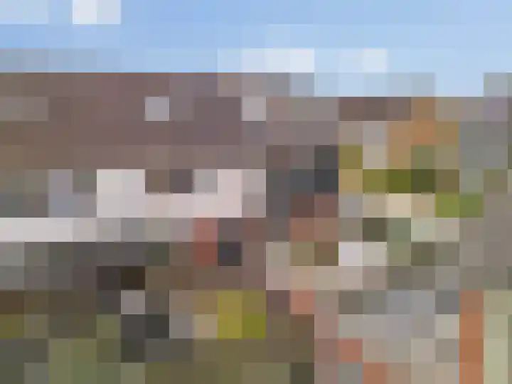 Fruitlaan 46 Zwaag thumbnail 22
