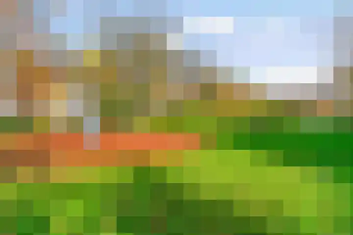 Fruitlaan 46 Zwaag thumbnail 30