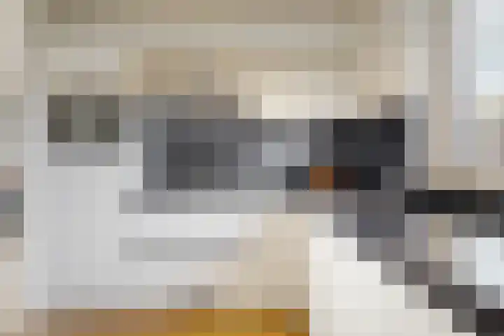 Fruitlaan 46 Zwaag thumbnail 7