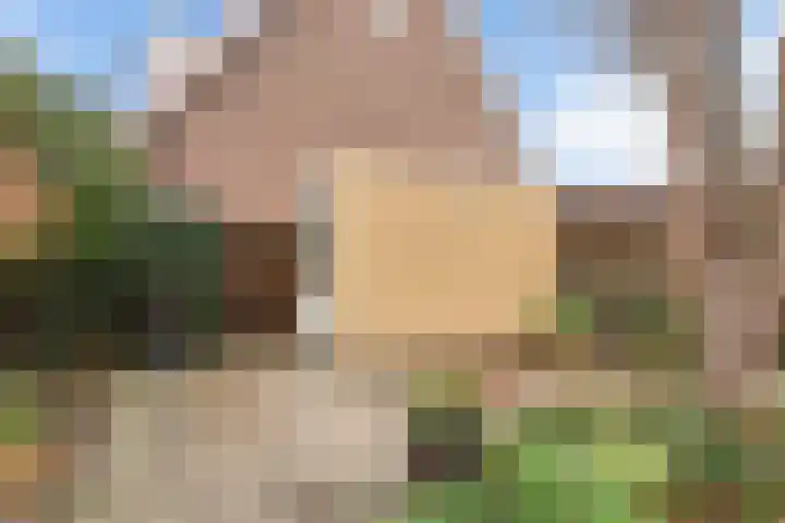 Fruitlaan 49 Wateringen thumbnail 26