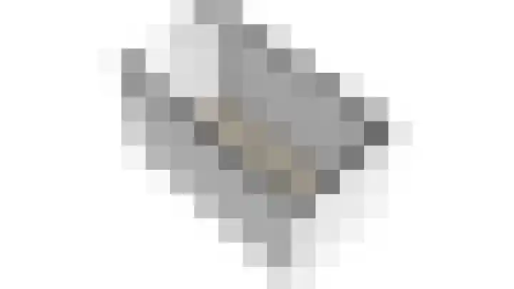 Fruitlaan 49 Wateringen thumbnail 47