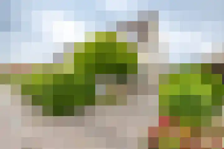 Fruitlaan 61 Loppersum