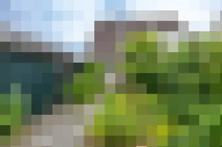 Fruitlaan 61 Loppersum thumbnail 19