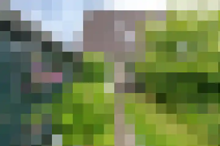 Fruitlaan 61 Loppersum thumbnail 20