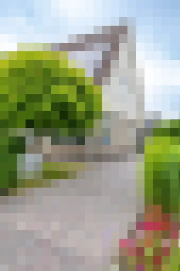 Fruitlaan 61 Loppersum thumbnail 39