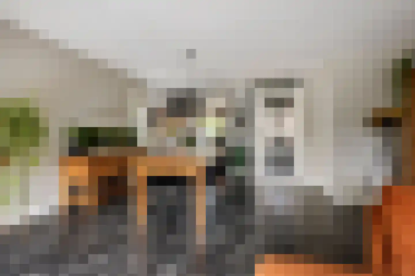Fruitlaan 71 Wateringen thumbnail 10