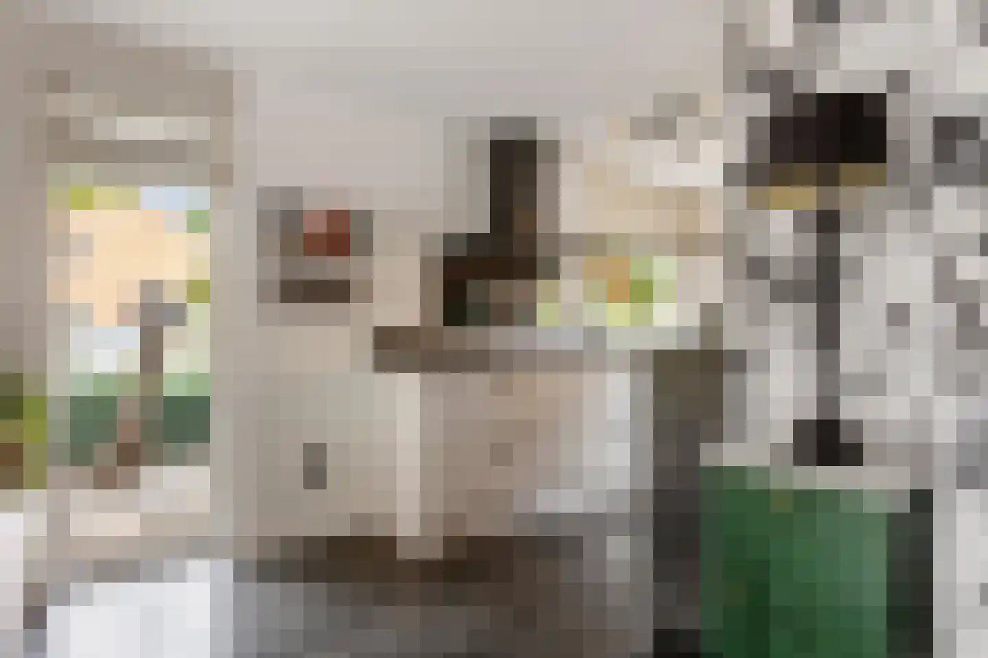 Fruitlaan 71 Wateringen thumbnail 12