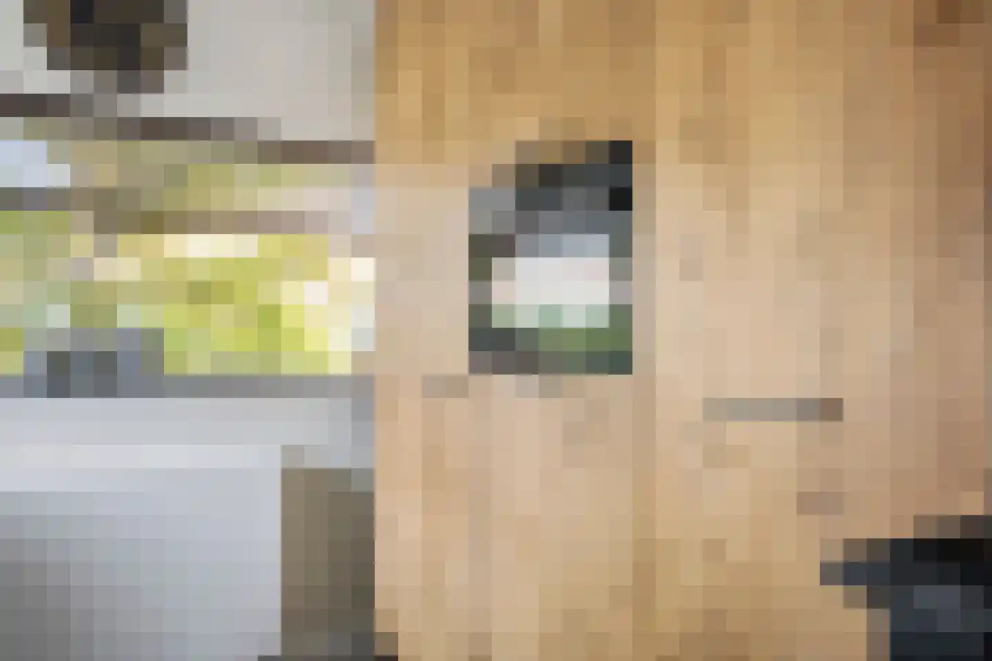 Fruitlaan 71 Wateringen thumbnail 15