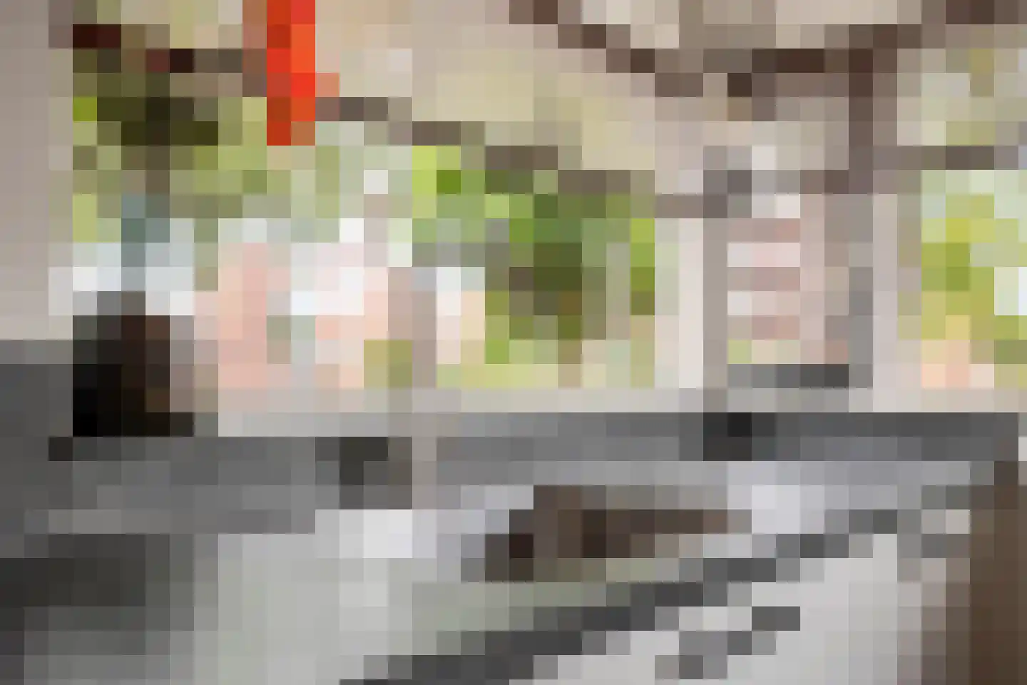 Fruitlaan 71 Wateringen thumbnail 16