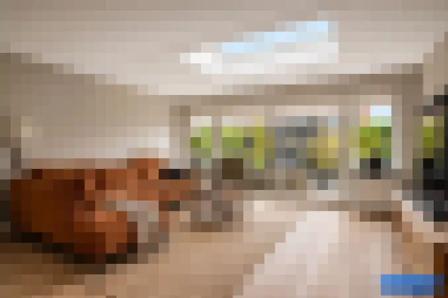 Fruitlaan 71 Wateringen thumbnail 4