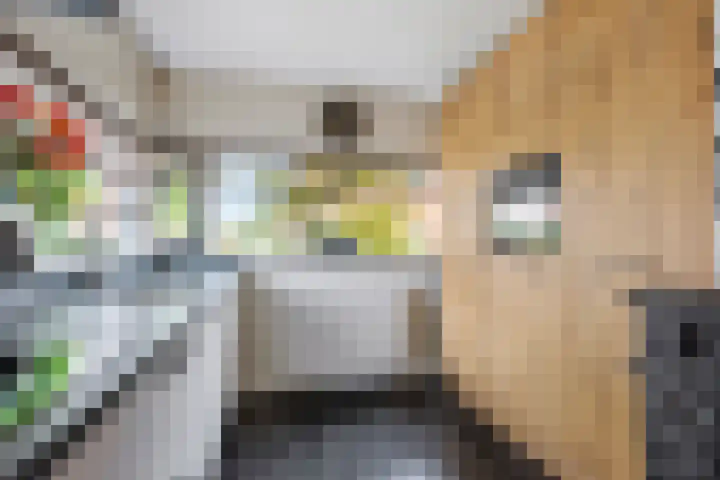 Fruitlaan 71 Wateringen thumbnail 4