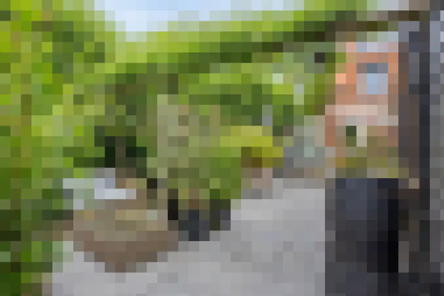 Fruitlaan 71 Wateringen thumbnail 43