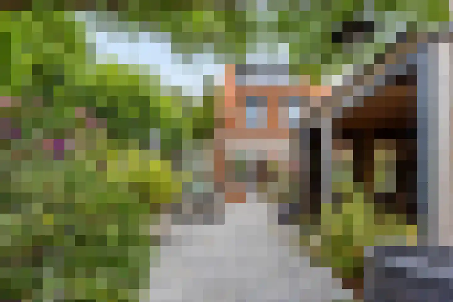 Fruitlaan 71 Wateringen thumbnail 44