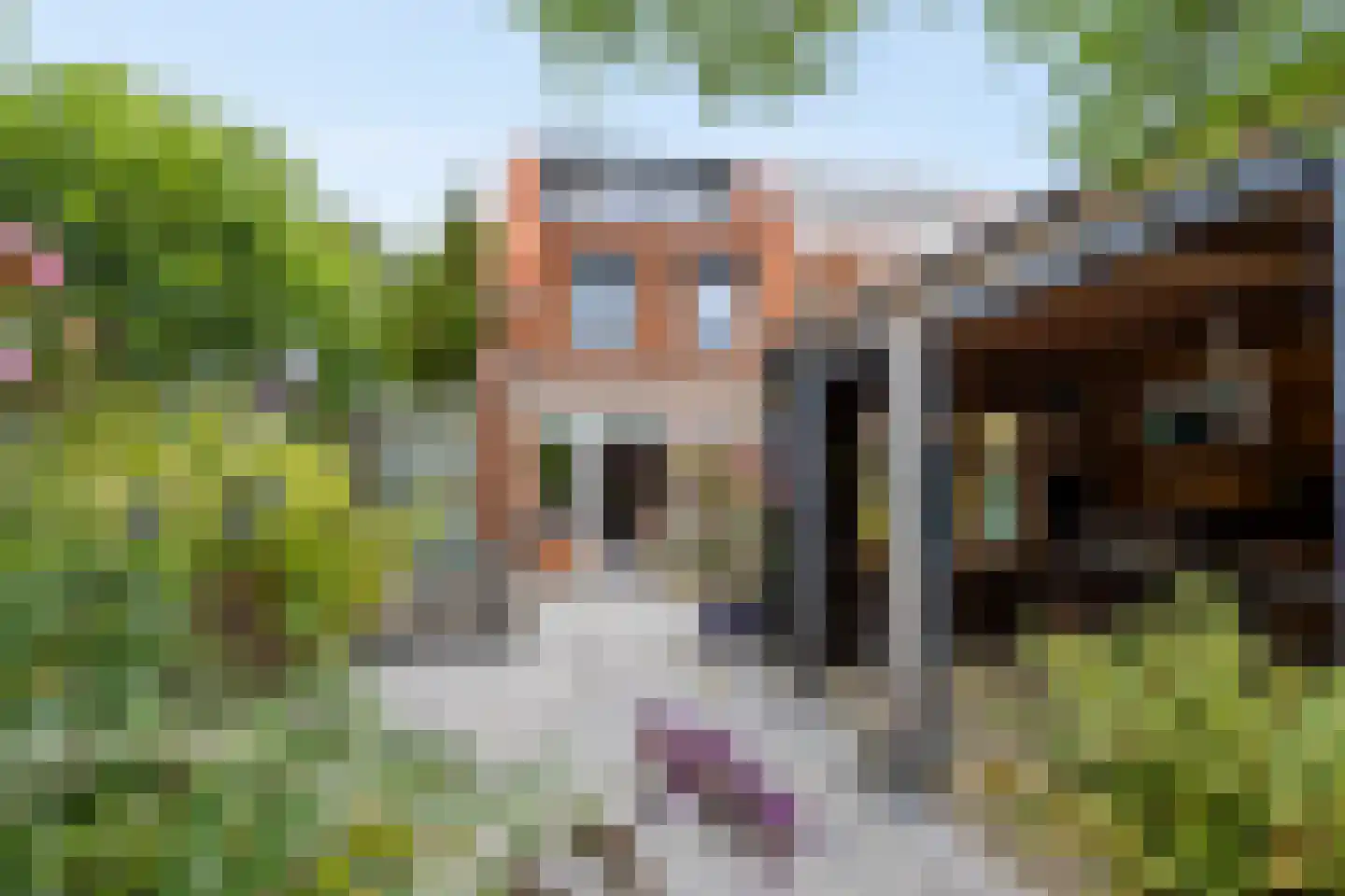 Fruitlaan 71 Wateringen thumbnail 45