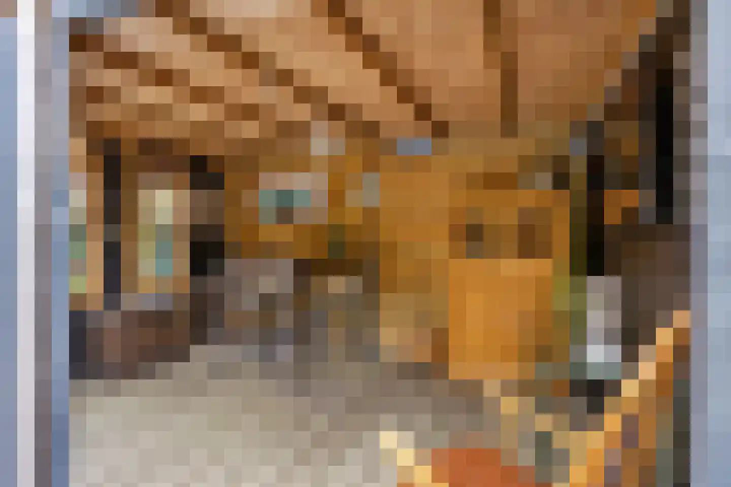 Fruitlaan 71 Wateringen thumbnail 47