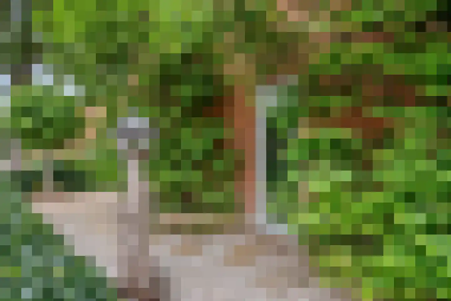 Fruitlaan 71 Wateringen thumbnail 51