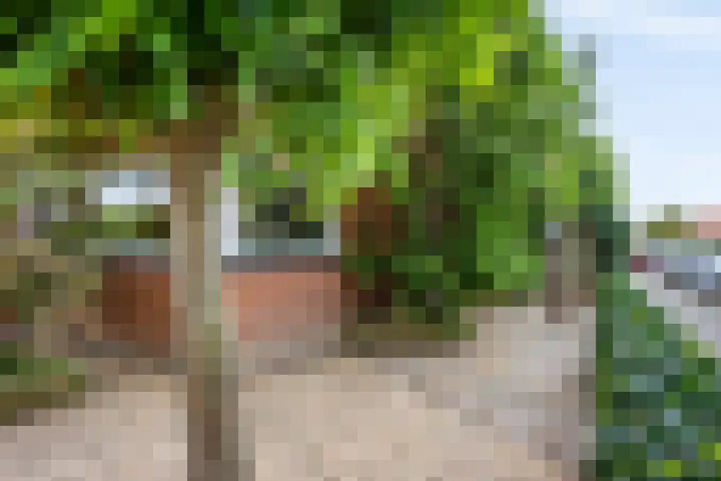 Fruitlaan 71 Wateringen thumbnail 52
