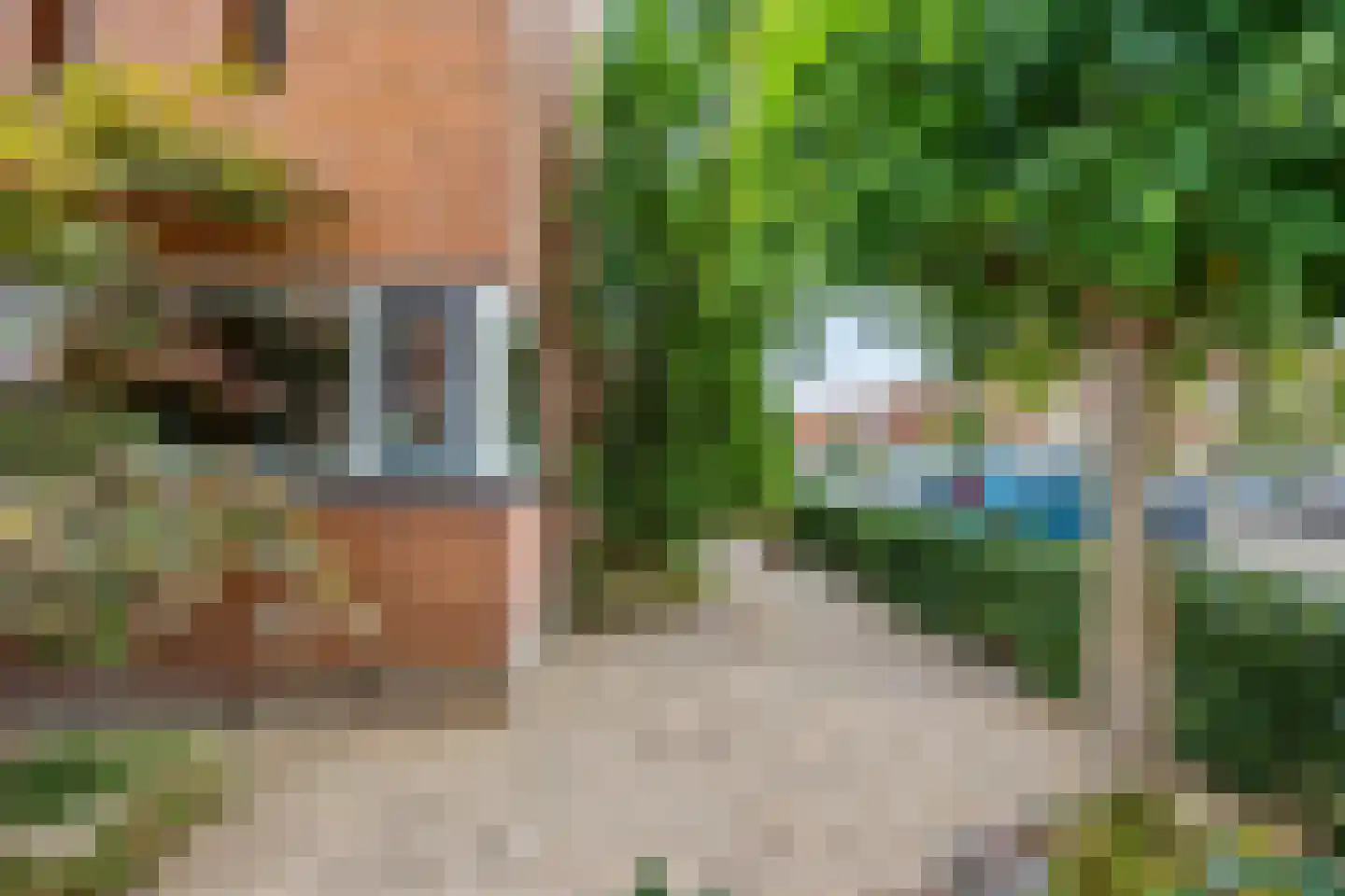 Fruitlaan 71 Wateringen thumbnail 53