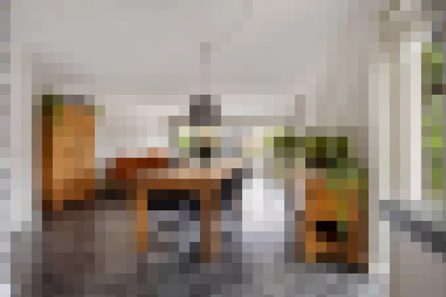 Fruitlaan 71 Wateringen thumbnail 7