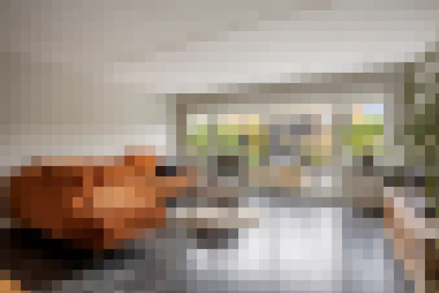 Fruitlaan 71 Wateringen thumbnail 8