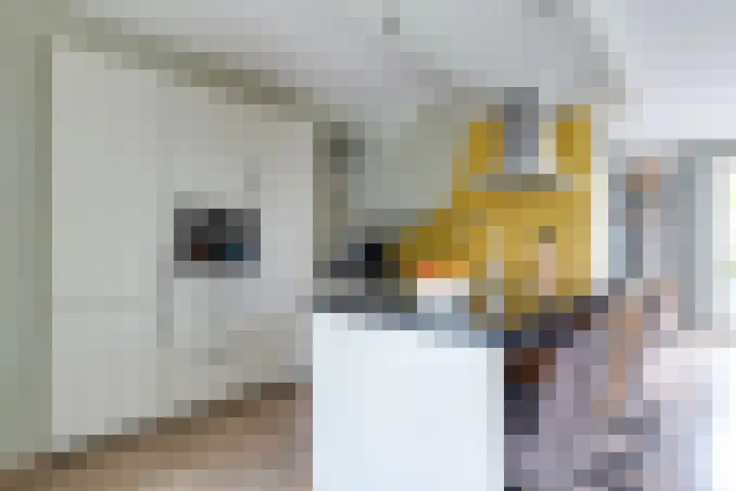 Fruitlaan 82 Zwaag thumbnail 14