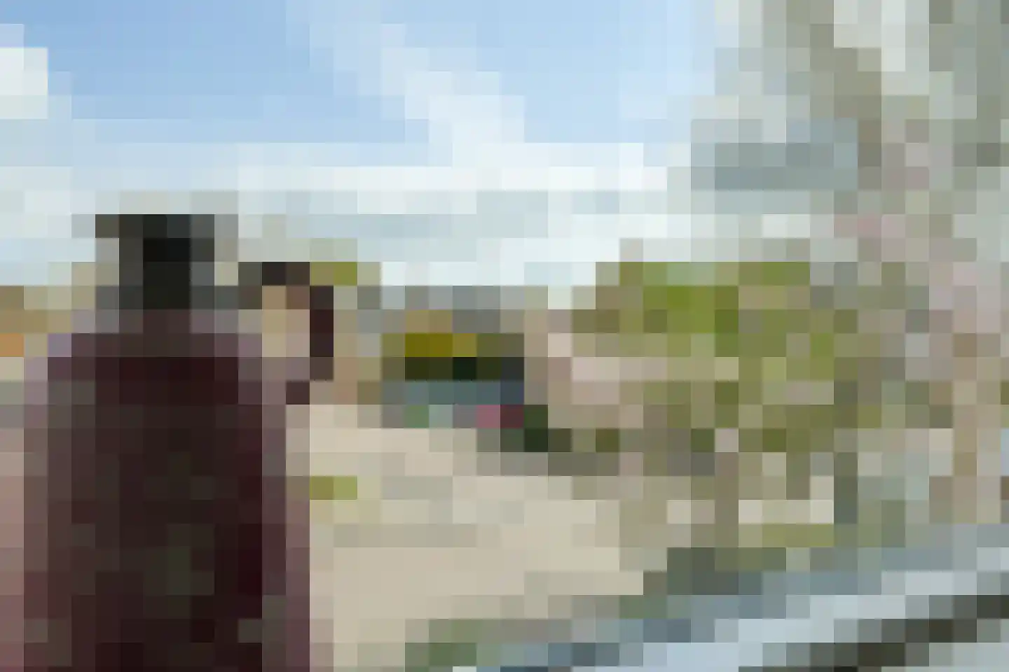 Fruitlaan 82 Zwaag thumbnail 39