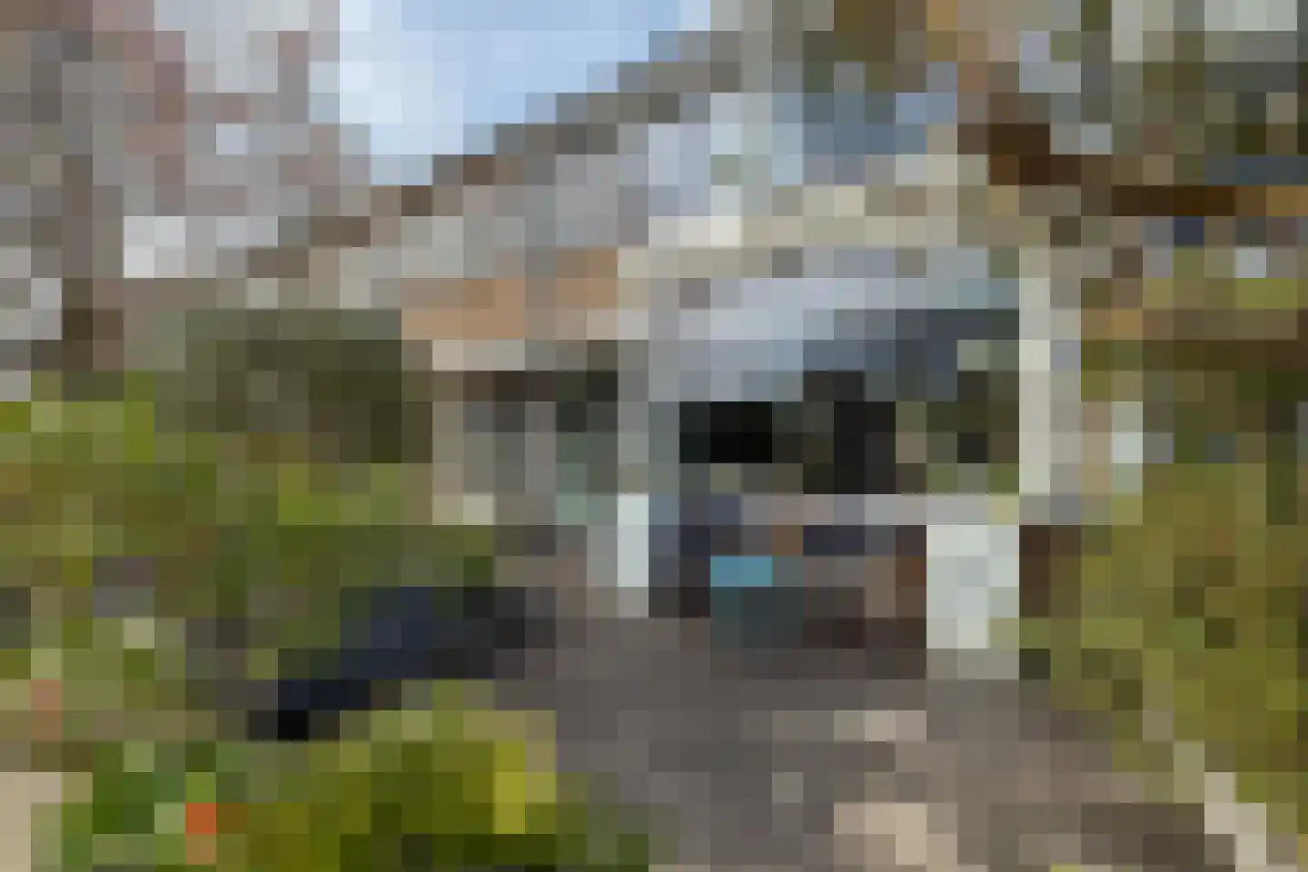 Fruitlaan 82 Zwaag thumbnail 50