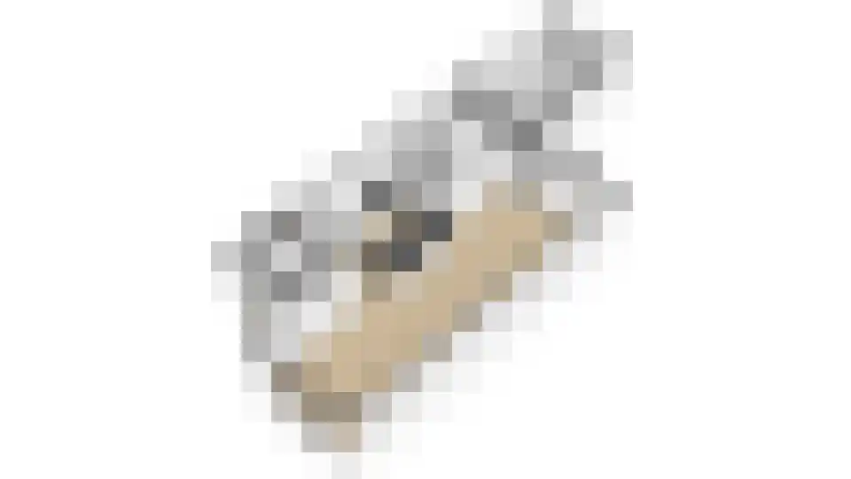 Fruitlaan 82 Zwaag thumbnail 61