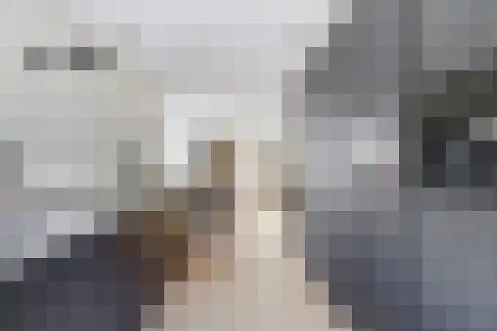 Fruitlaan 89 Wateringen thumbnail 11