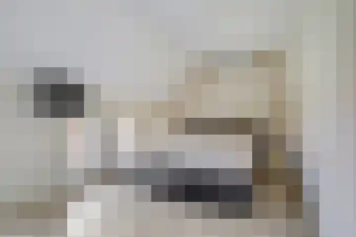 Fruitlaan 89 Wateringen thumbnail 12
