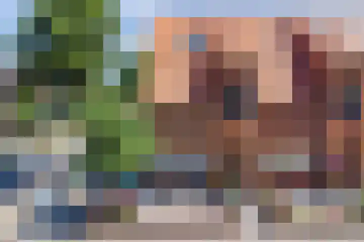 Fruitlaan 89 Wateringen thumbnail 29