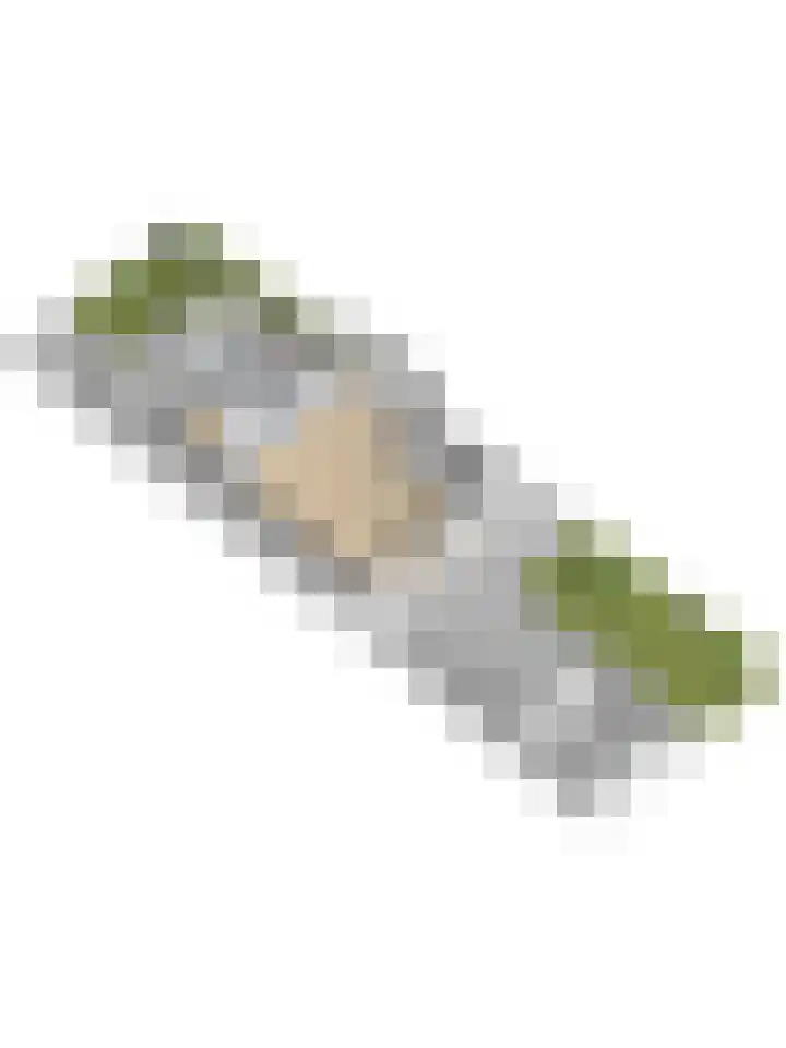 Fruitlaan 89 Wateringen thumbnail 46