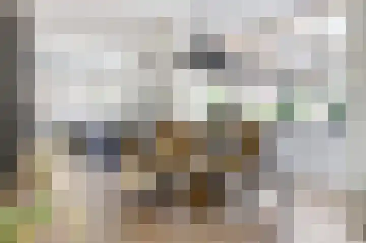 Fruitlaan 89 Wateringen thumbnail 8