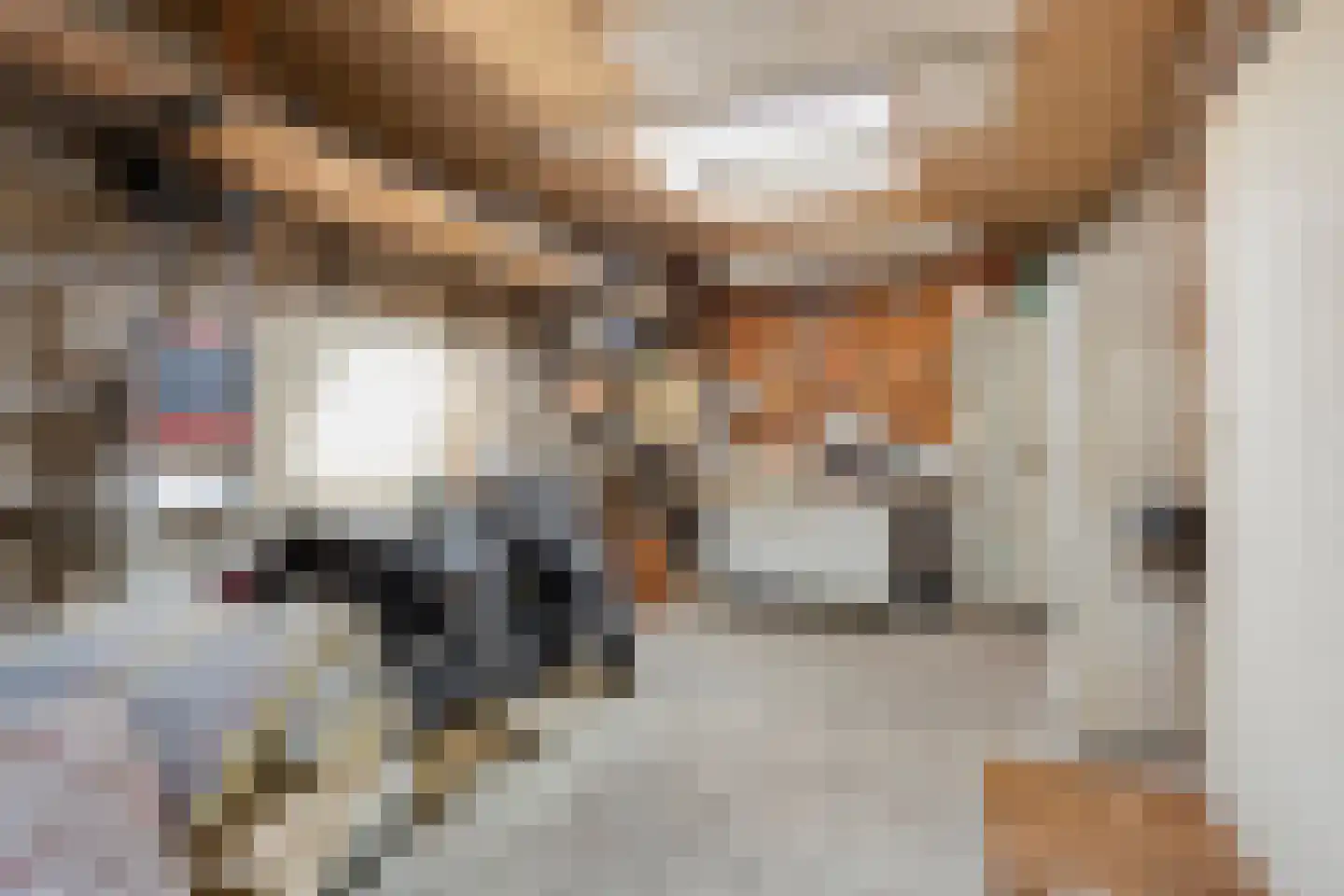 Fruitlaan 89 Zwaag thumbnail 21