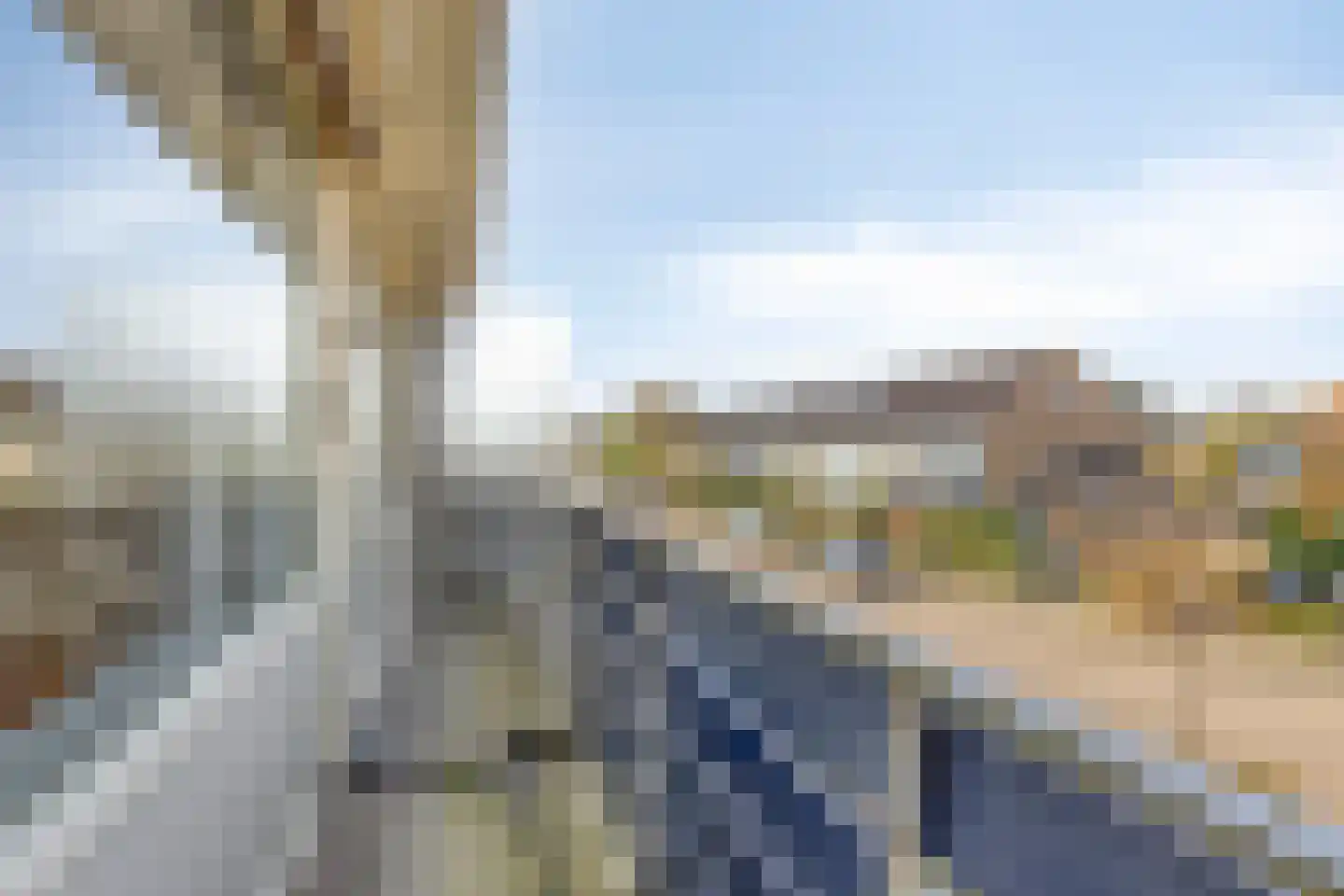 Fruitlaan 89 Zwaag thumbnail 30