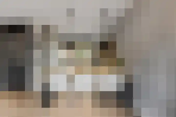 Fruitlaan 95 Nijmegen thumbnail 12