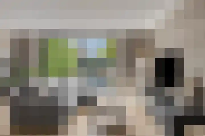 Fruitlaan 95 Nijmegen thumbnail 18