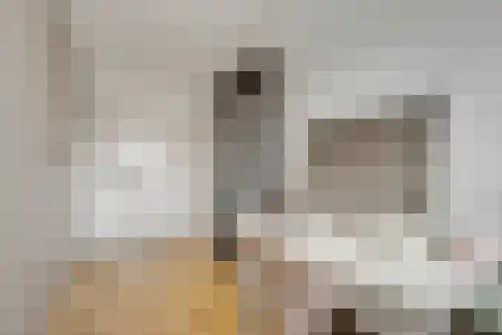 Fruitlaan 95 Nijmegen thumbnail 22