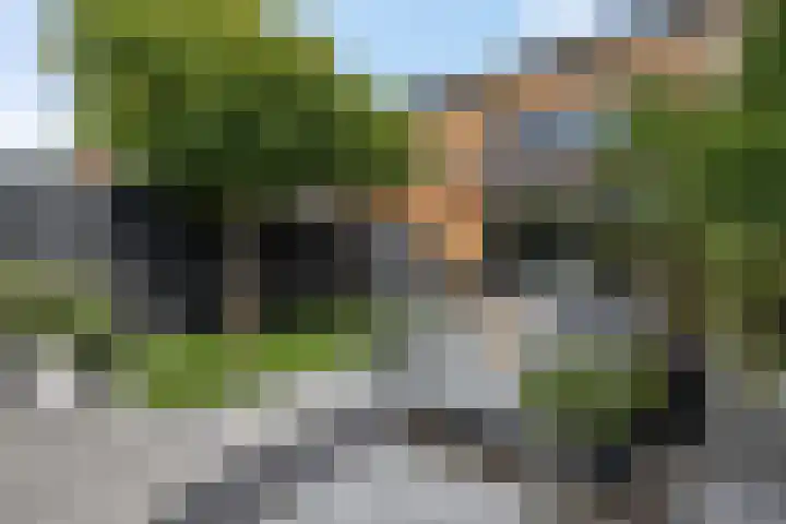 Fruitlaan 95 Nijmegen thumbnail 37