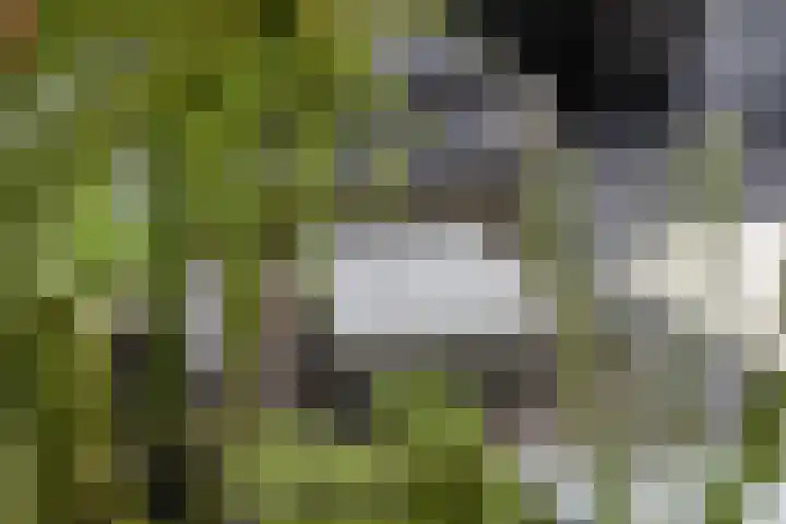 Fruitlaan 95 Nijmegen thumbnail 42