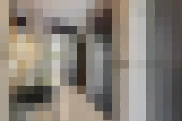 Fruitlaan 95 Nijmegen thumbnail 5