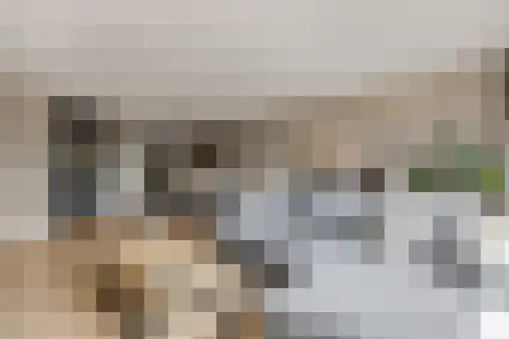 Fruitlaan 95 Nijmegen thumbnail 7