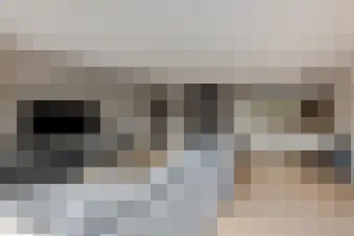 Fruitlaan 95 Nijmegen thumbnail 8