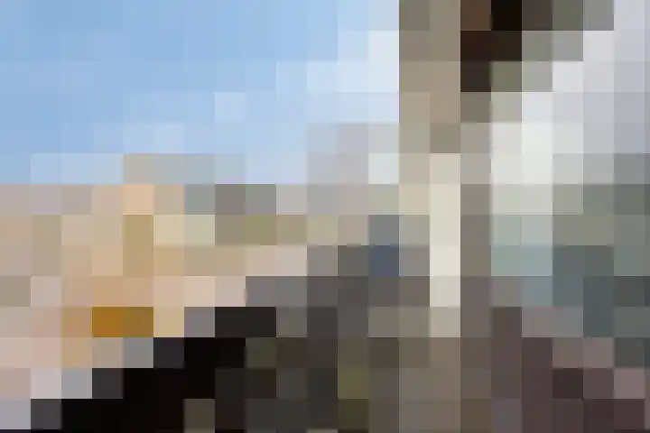 Fruitlaan 95 Zwaag thumbnail 22