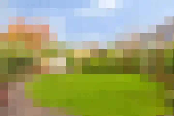 Fruitlaan 95 Zwaag thumbnail 26