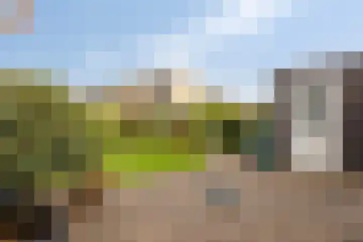 Fruitlaan 95 Zwaag thumbnail 29