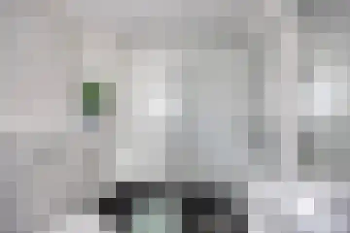 Fruitlaan 95 Zwaag thumbnail 5