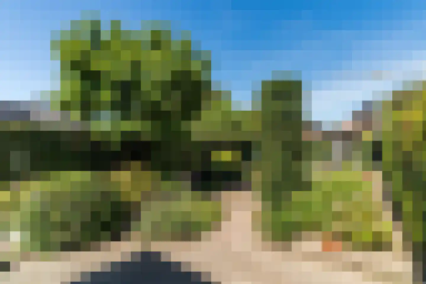 Fruitplein 7 Beneden-Leeuwen thumbnail 49