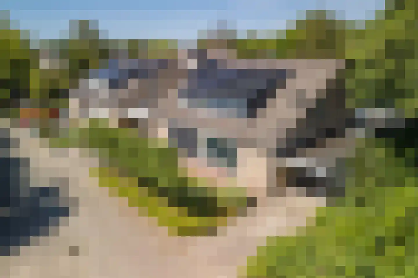 Fruitplein 7 Beneden-Leeuwen thumbnail 5