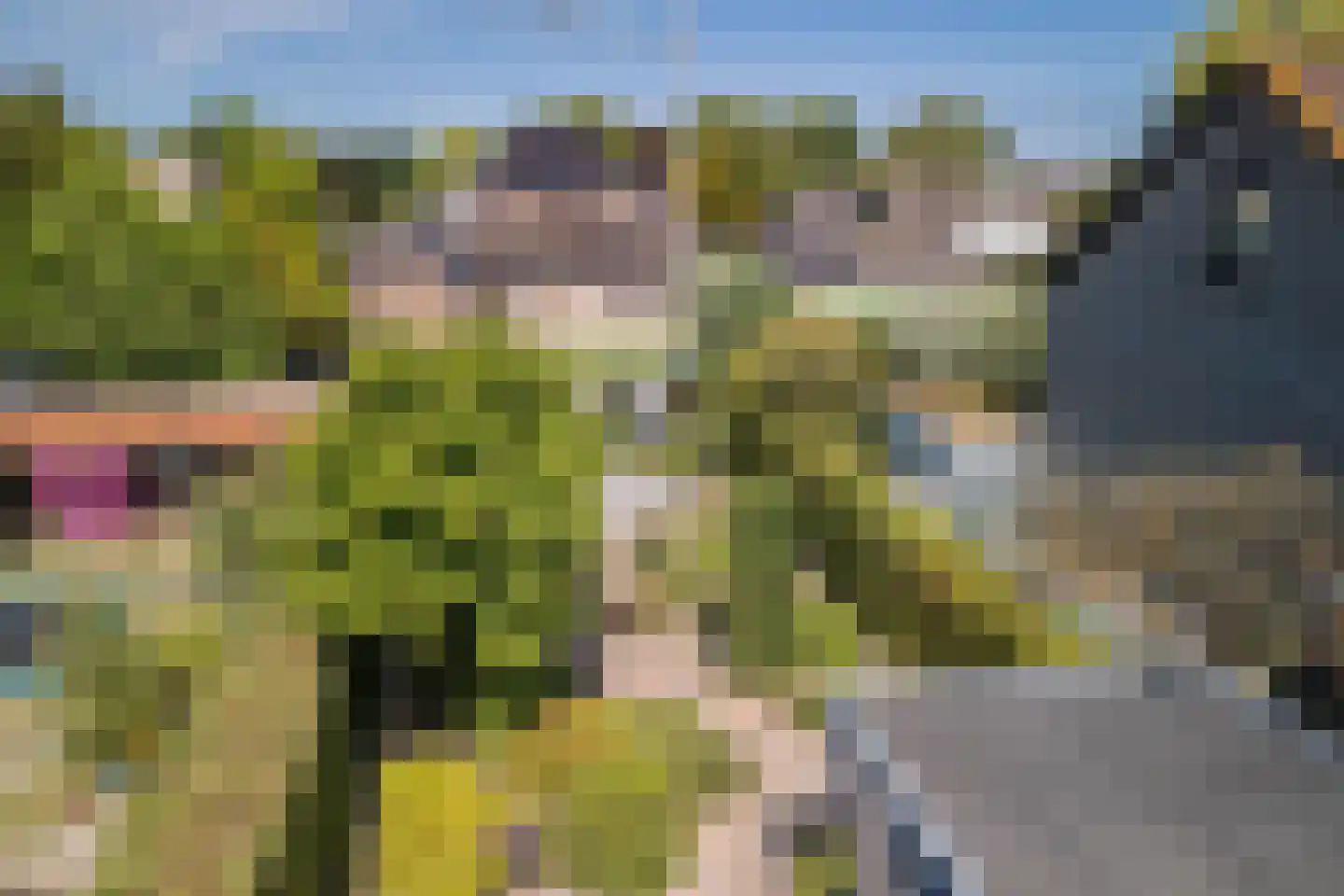 Fruitplein 7 Beneden-Leeuwen thumbnail 58